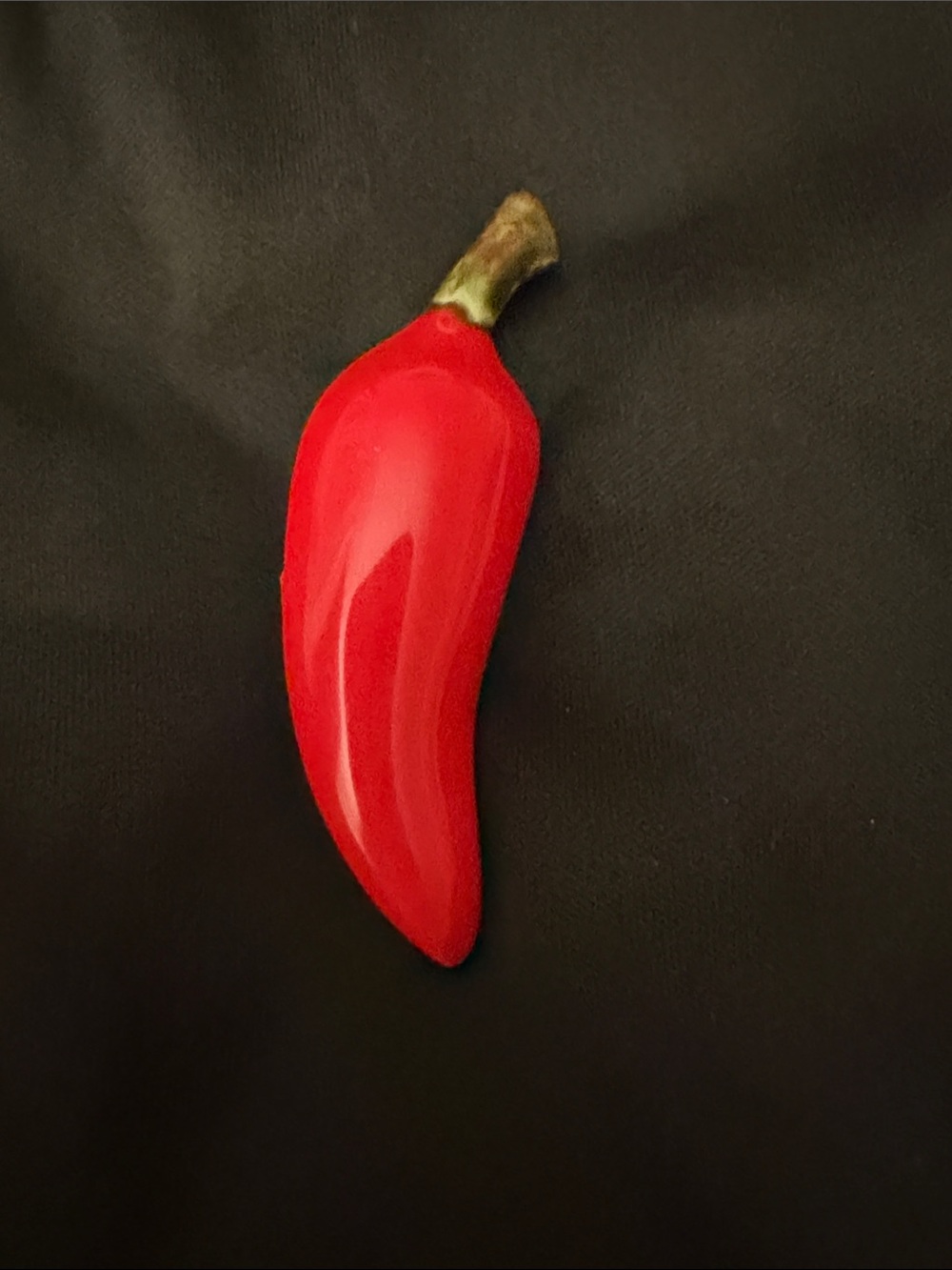 Chili Pepper Brooch Pin